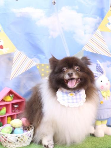 20240326太郎くん